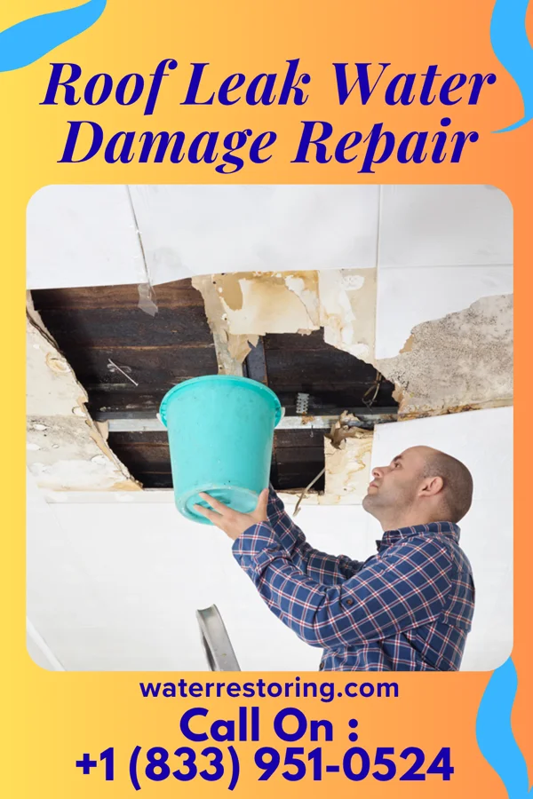 Roof Leak Water Damage Repair in Miller Colony, MT